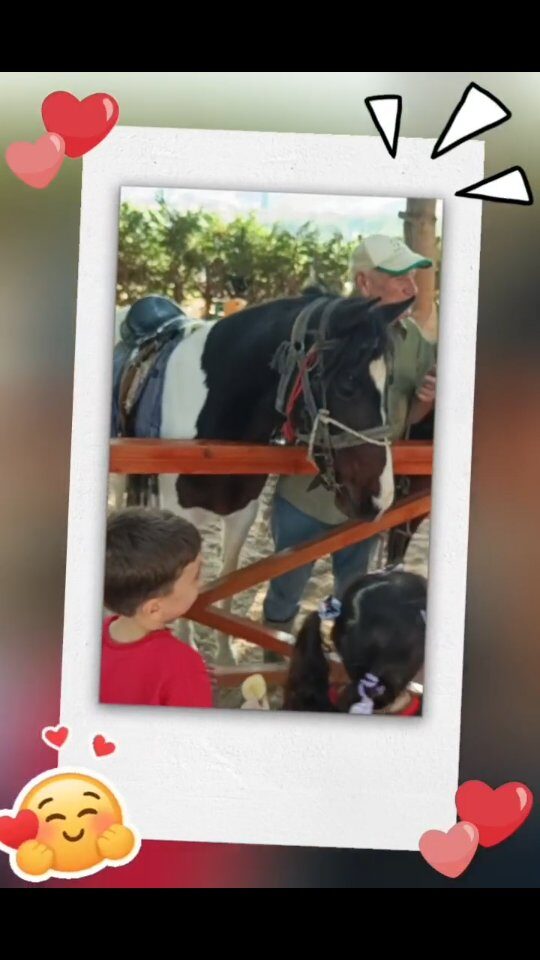 Instagram post from takegitimkurumlari. This post is in position 8.