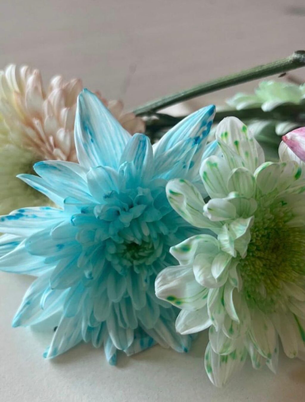 Instagram post from takegitimkurumlari. This post is in position 4.