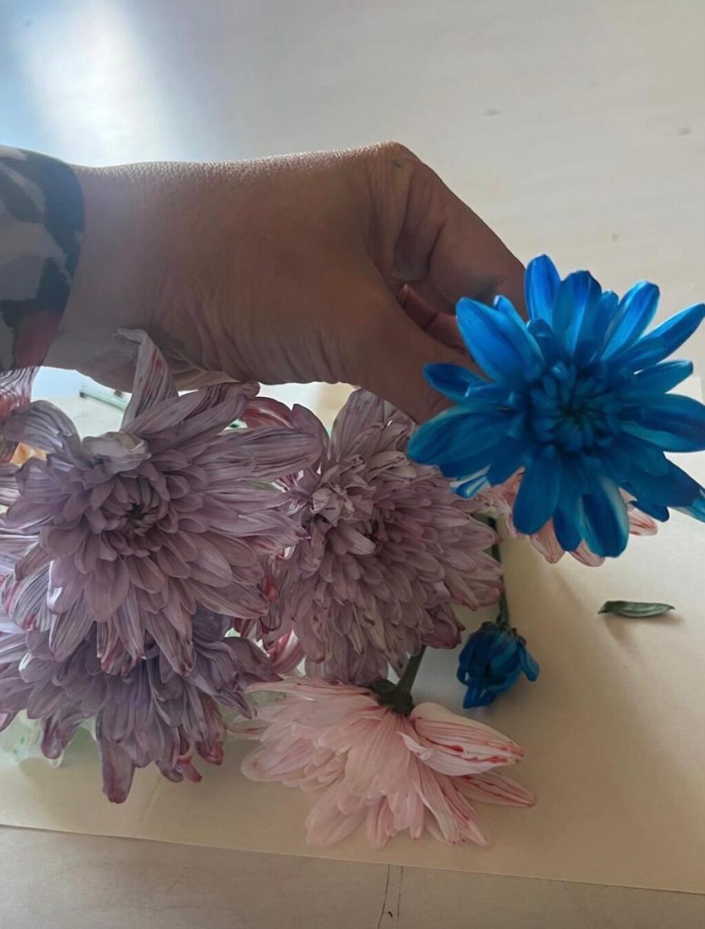 Instagram post from takegitimkurumlari. This post is in position 3.